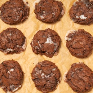 Double Chocolate and Mint Cookies